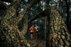 BIB: 
                            <button type="button" onclick="openModal(25675427)" class="btn btn-primary btn-sm float-right btn-popup" data-toggle="modal" data-target=".modal-high-quality">
                        <i class="fas fa-shopping-cart"></i> Add to Cart
                    </button>
                                            <button type="button" onclick="isThisMe(25675427, true)" class="btn btn-success btn-sm float-right btn-popup btn-isme hidden" data-toggle="tooltip" data-placement="bottom" title="นี่คือรูปของคุณใช่ไหม คลิกที่นี่เพื่อเอาเข้าอัลบั้ม">
                        <i class="fas fa-plus"></i> Add to album
                    </button>
                    <button type="button" onclick="isThisMe(25675427, false)" class="btn btn-warning btn-sm float-right btn-popup btn-isnotme hidden">
                        <i class="fas fa-ban"></i> Remove from album
                    </button>